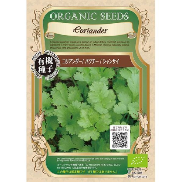 画像1: 有機種子 コリアンダー / パクチー / 香菜（シャンサイ）4g【春秋まき】発芽率70％ (1)