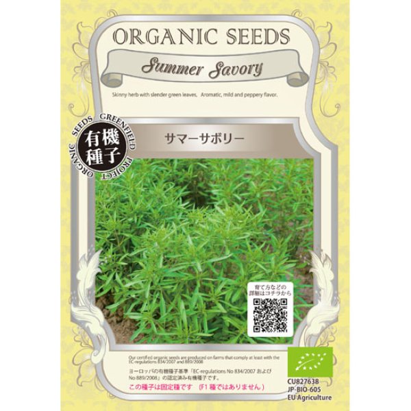 画像1: 有機種子　サマーサボリー 0.4g【春・秋まき】【固定種】発芽率70％ (1)