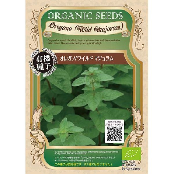 画像1: 有機種子 オレガノ / ワイルドマジョラム 0.06g【春秋まき】発芽率90％ (1)
