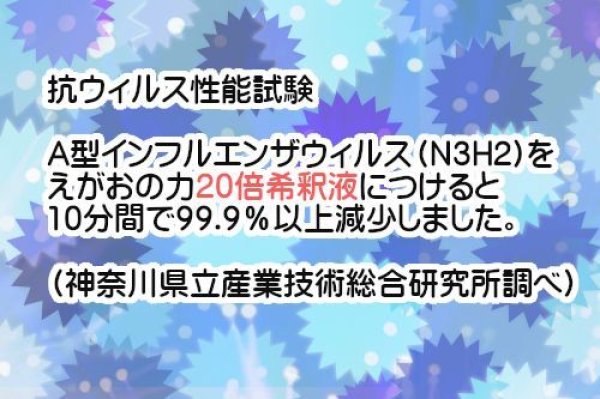 えがおの力18L旧商品名：松の力 ２倍濃縮タイプ同梱不可☆ポイント