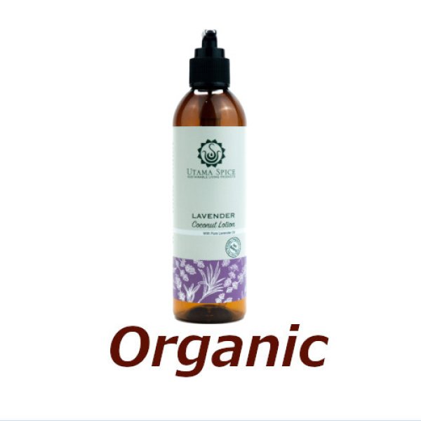 画像1: ●▼バリ島の極上スキンケア　ココナッツローション　ラベンダー■230ml【UTAMA SPICE ：ウタマスパイス】【Just Natural】正規輸入品【2025.6.26】 (1)